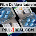 Natural Vigra Pill viagra5